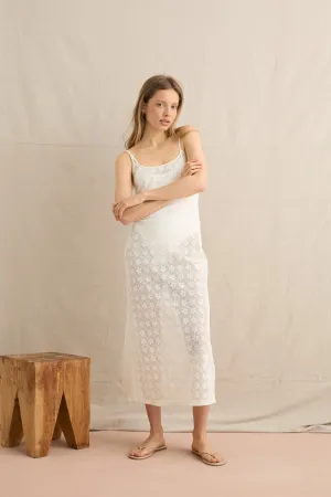 Bardot Lace Midi Dress