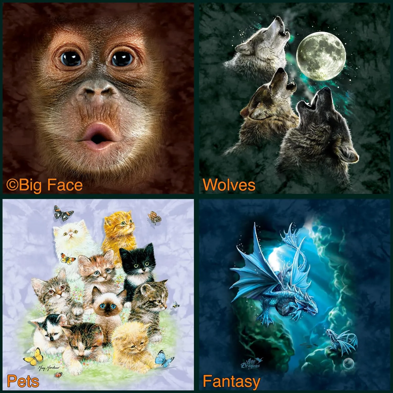 The Mountain Men's Big Face Baby Orangutan